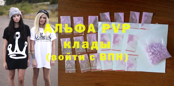 PSILOCYBIN Липки