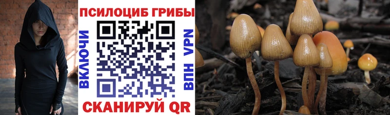 shop как зайти Сольцы Галлюциногенные грибы ЛСД купить наркоту